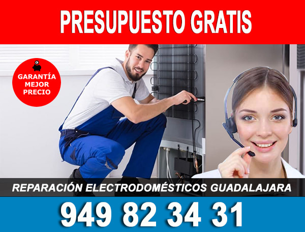 reparacion electrodomesticos Guadalajara